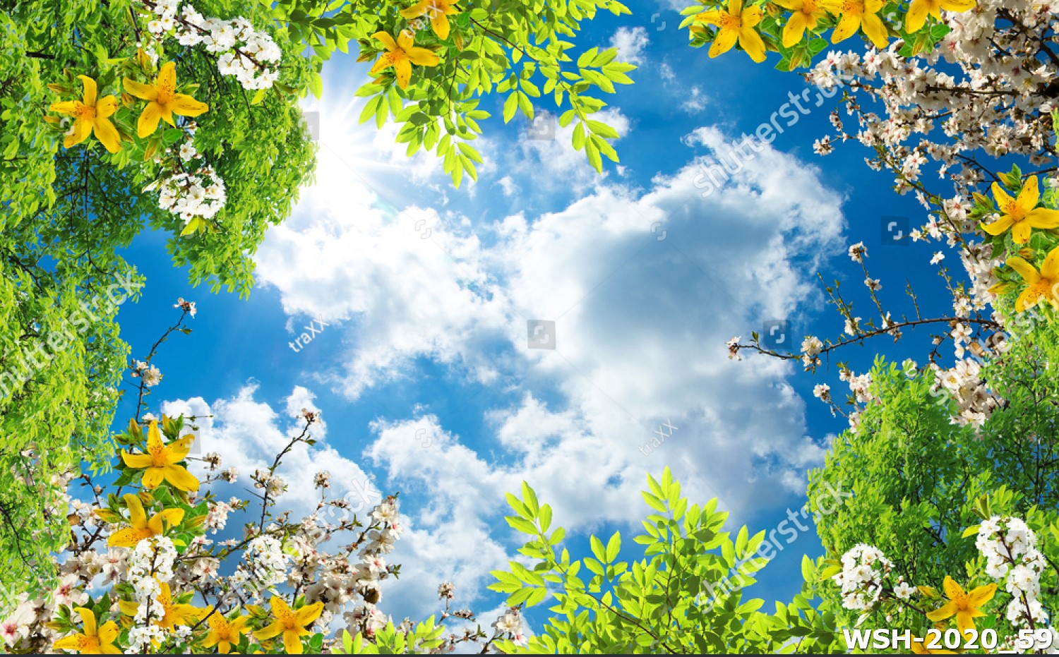 Dán trần trời xanh và hoa WSH-2020_59